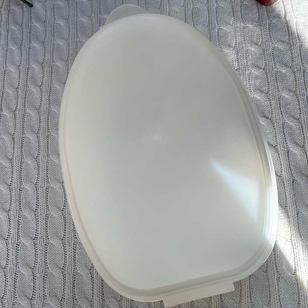 VINTAGE TUPPERWARE ROAST FLAVOR SAVER STORAGE KEEPER Ham Turkey. oval with lid